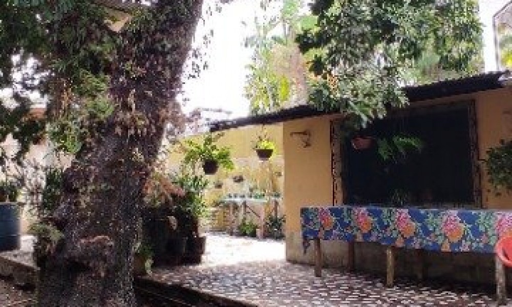 Casa Com Quintal 