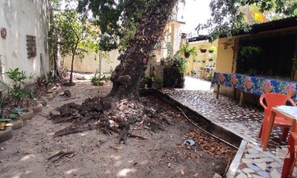Casa Com Quintal 