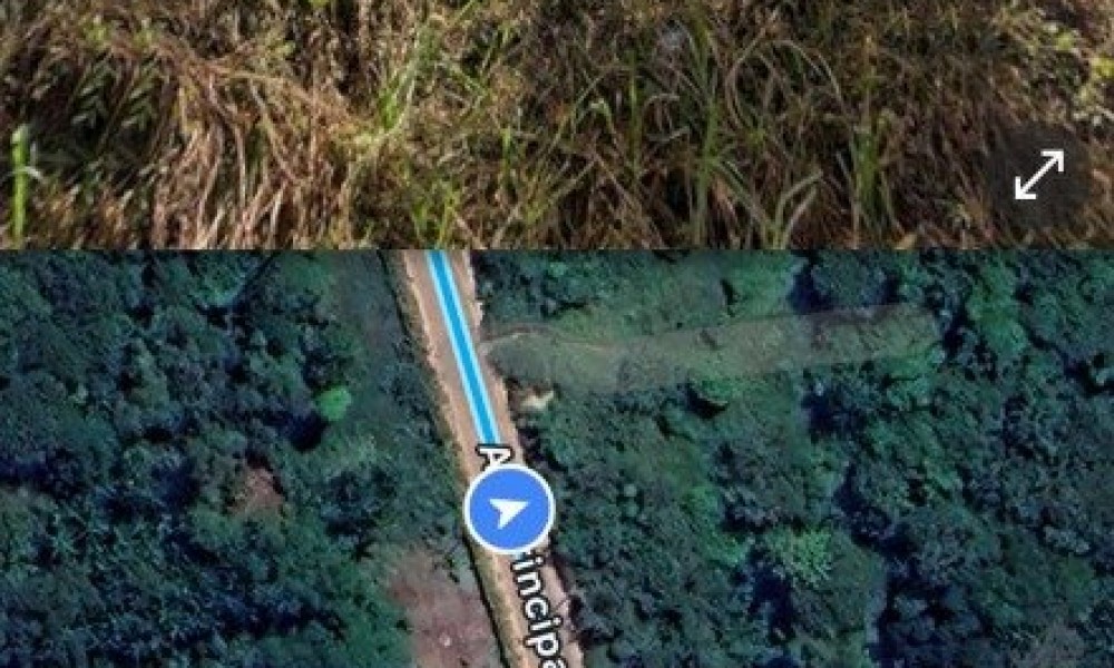 Lote Aurá