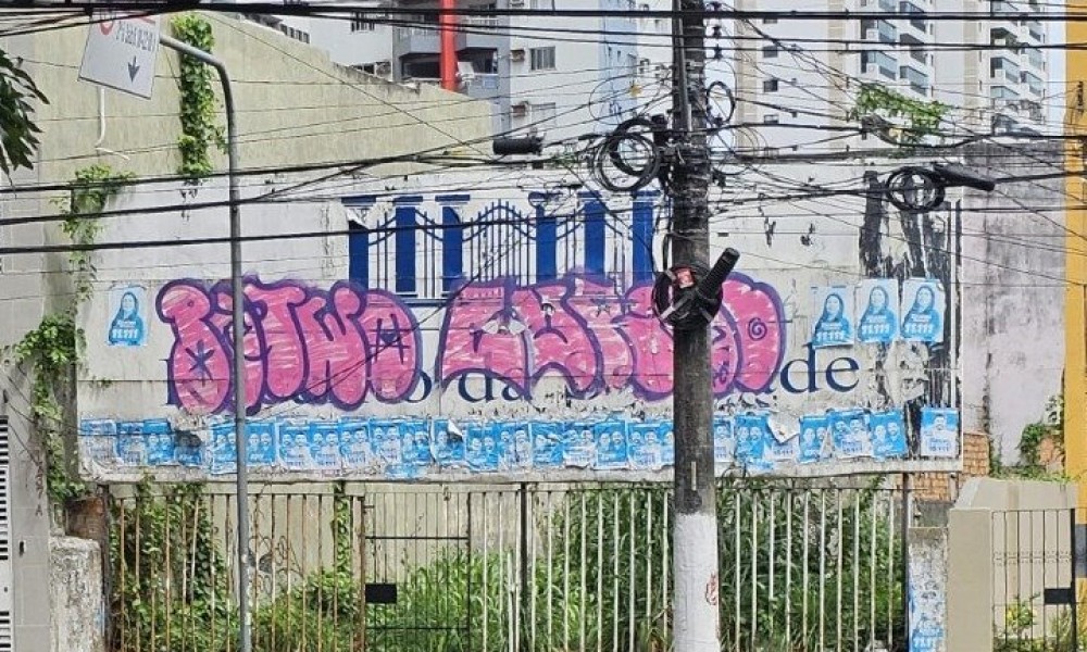 Terreno 
