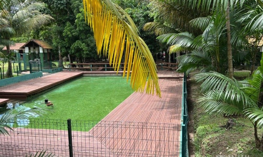 Ed. Safira Park