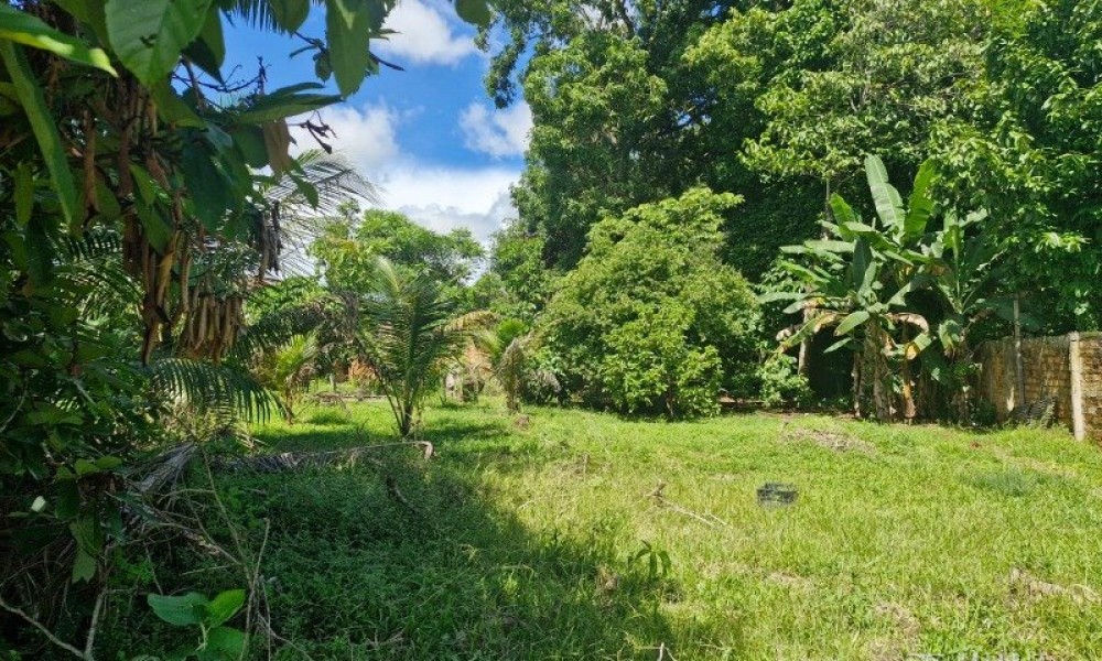 Terreno Com Edificação