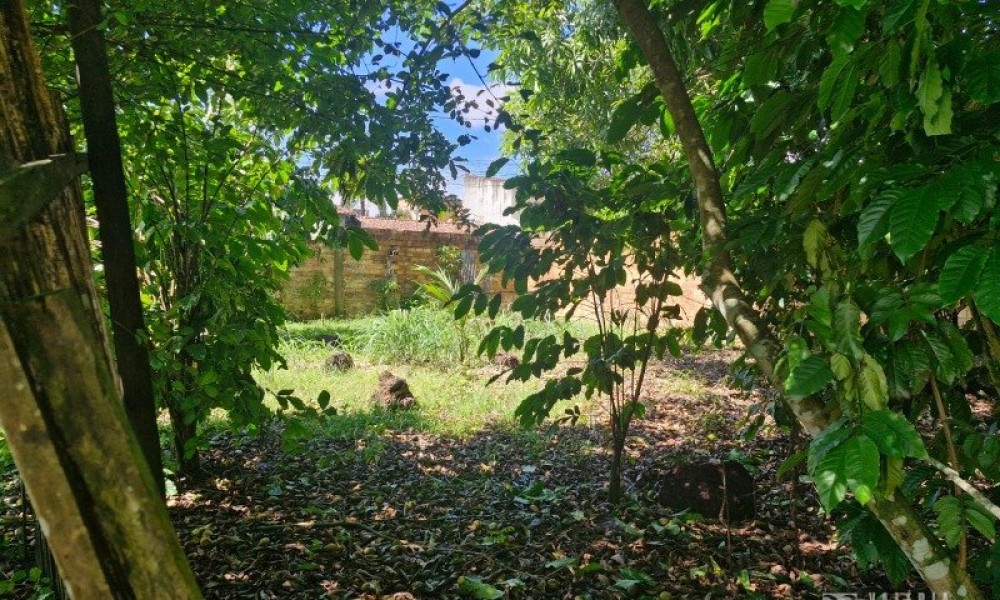Terreno Com Edificação