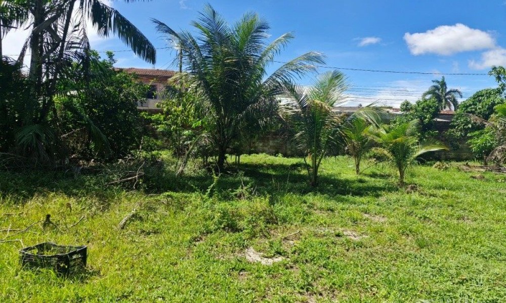 Terreno Com Edificação
