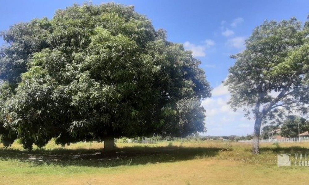 Terreno 