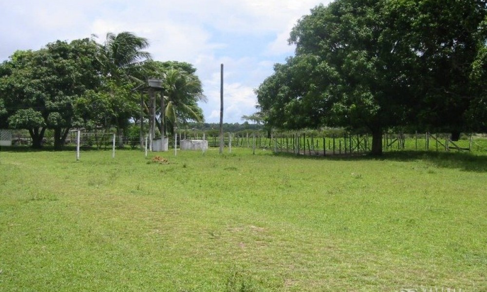 Terreno 