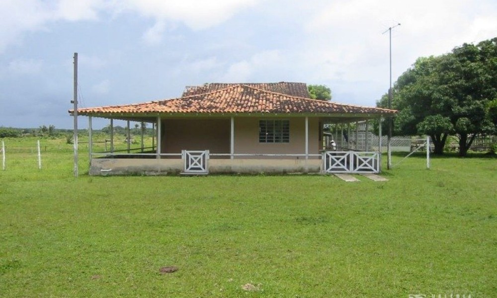 Terreno 