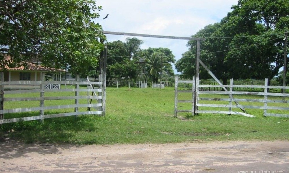 Terreno 