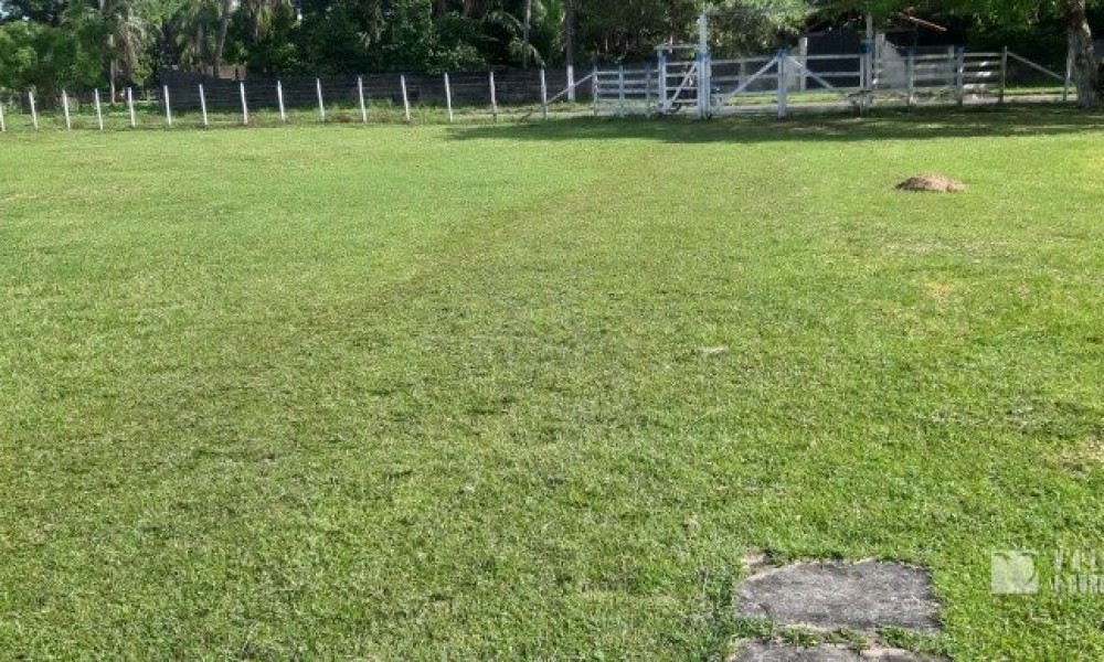Terreno 