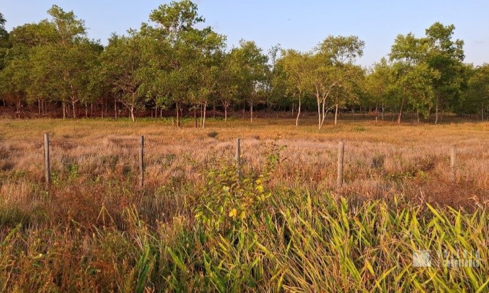 Terreno 