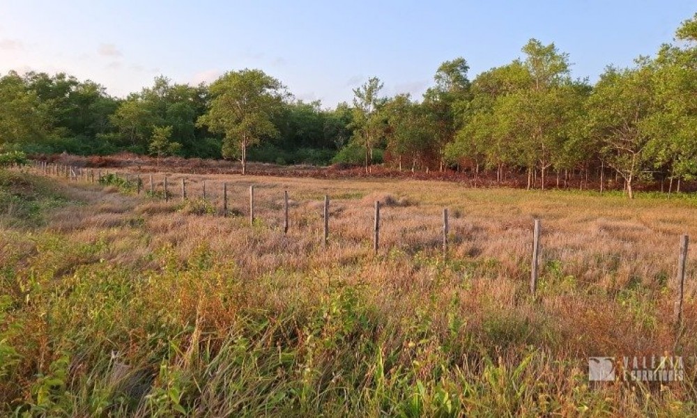 Terreno 