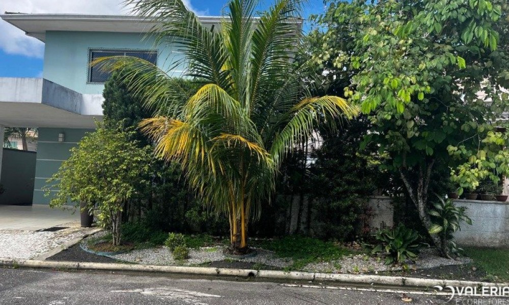 Cond. Oasis