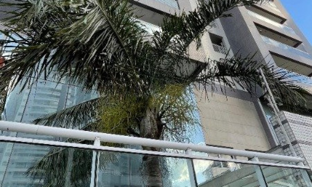 ED. DYONíSIO GARDEN