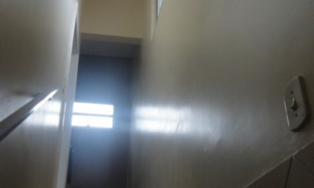 Cidade Nova II