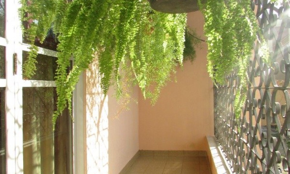 Casa 2 Pavimentos