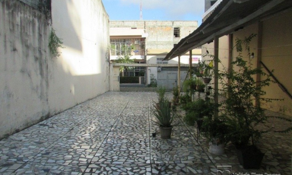 Terreno