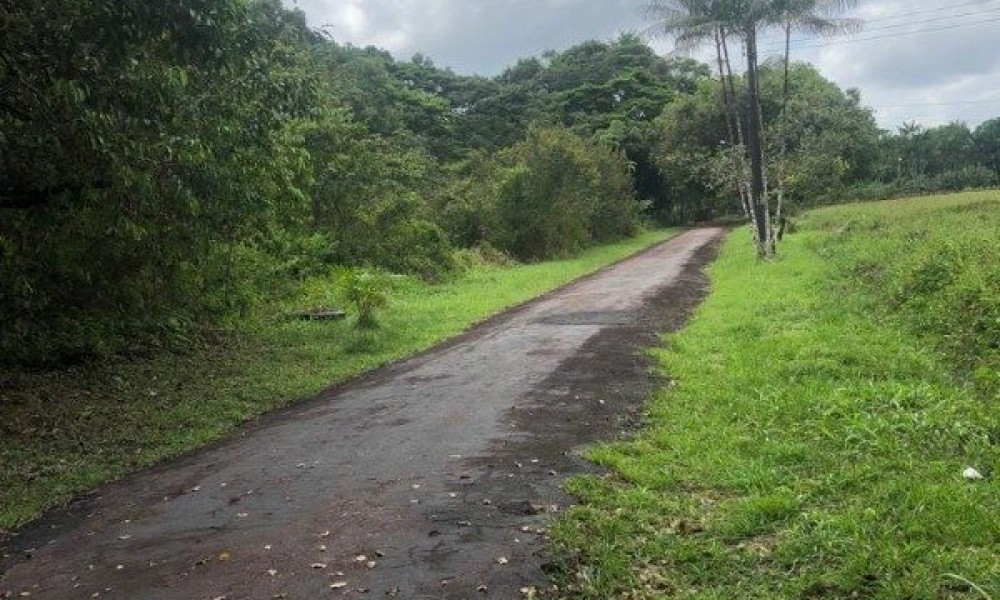 Terreno Em Benevides