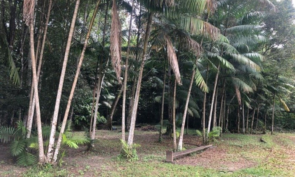 Terreno Em Benevides