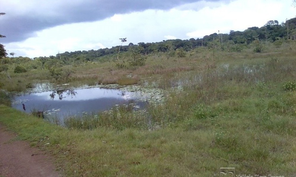 Grande Área C/ 16 Hectares