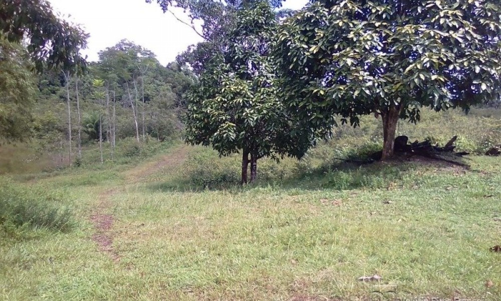 Grande Área C/ 16 Hectares