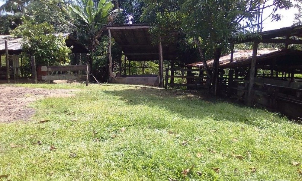 Grande Área C/ 16 Hectares