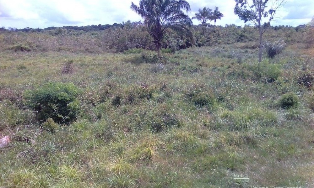 Grande Área C/ 16 Hectares