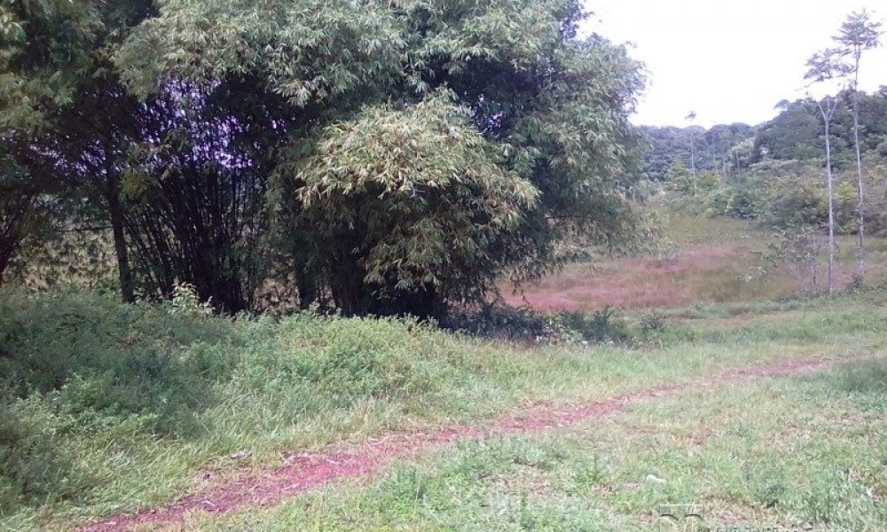 Grande Área C/ 16 Hectares