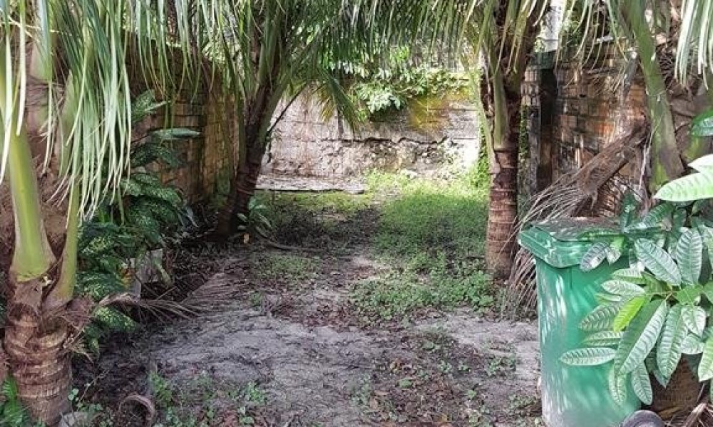 Casa Térrea
