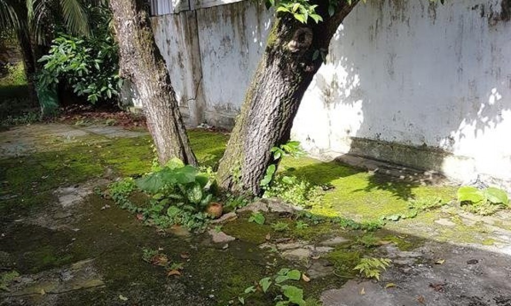 Casa Térrea
