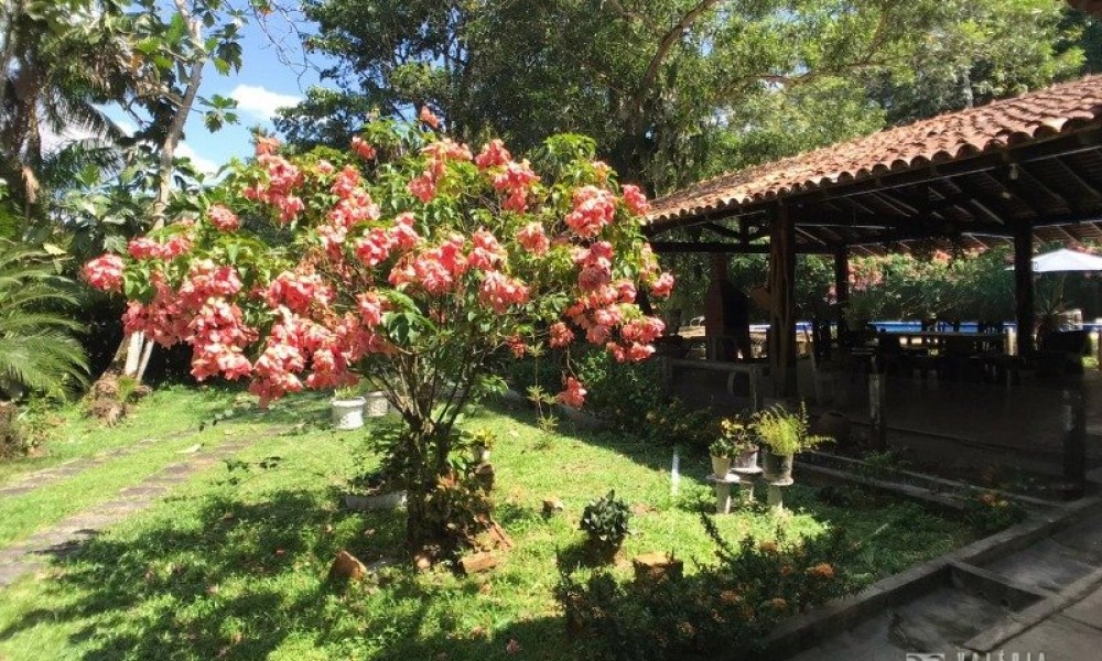 Casa Com Terreno