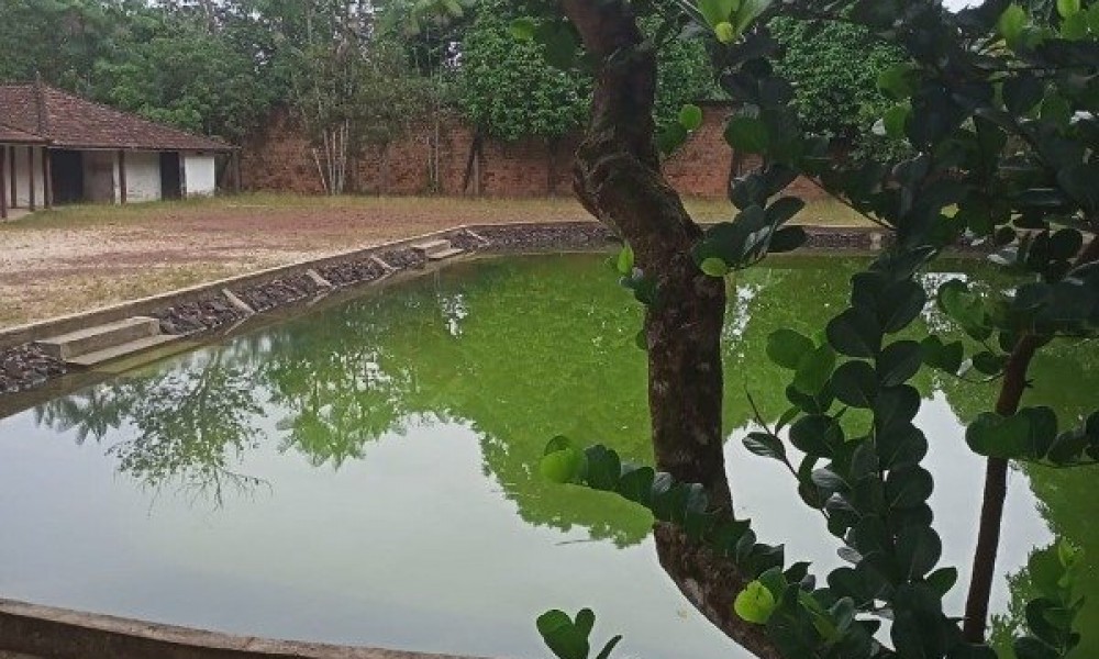 Balneário