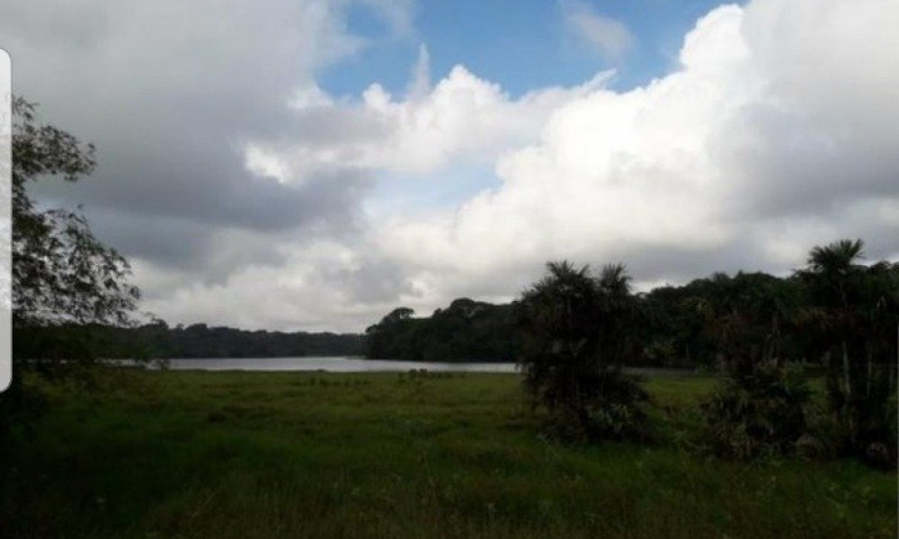 Terreno Na Pedreirinha