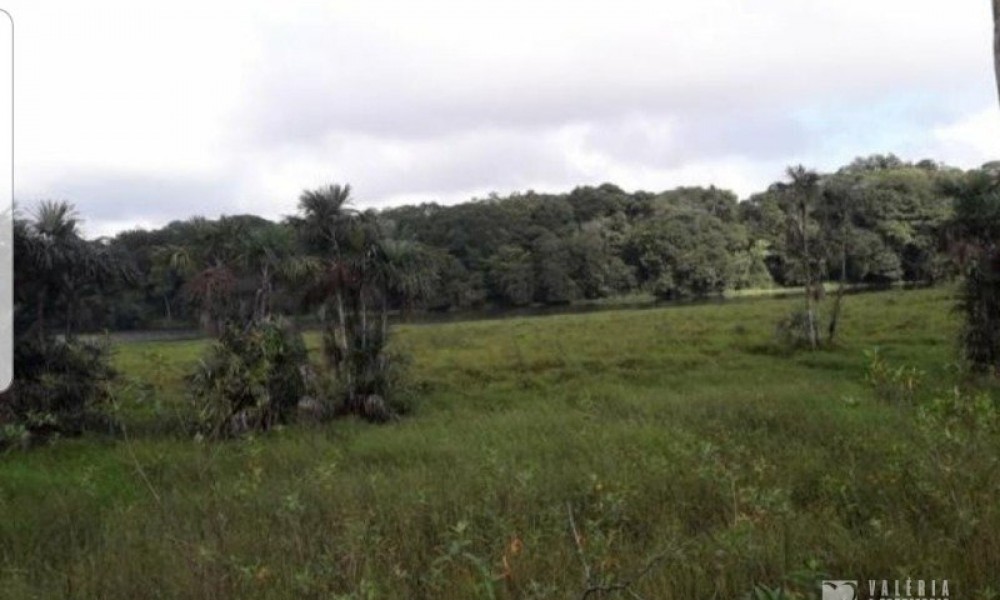 Terreno Na Pedreirinha