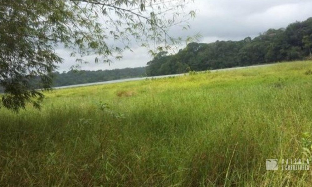 Terreno Na Pedreirinha
