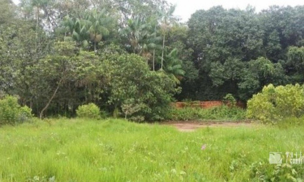 Terreno Na Pedreirinha