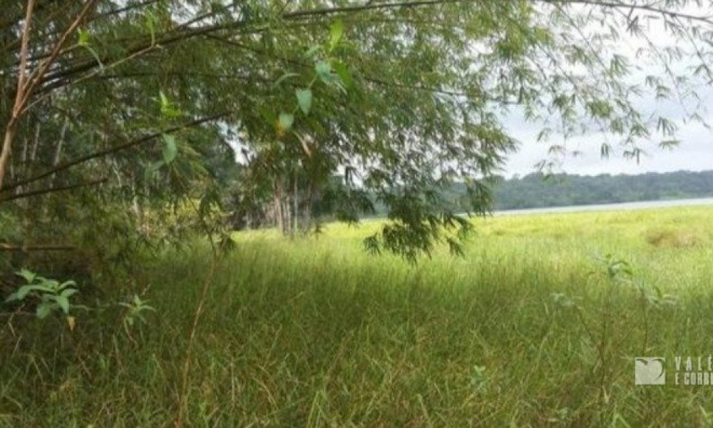Terreno Na Pedreirinha