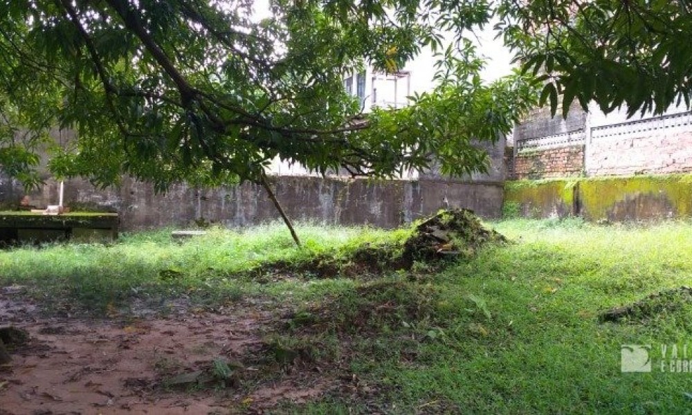 Casarão 