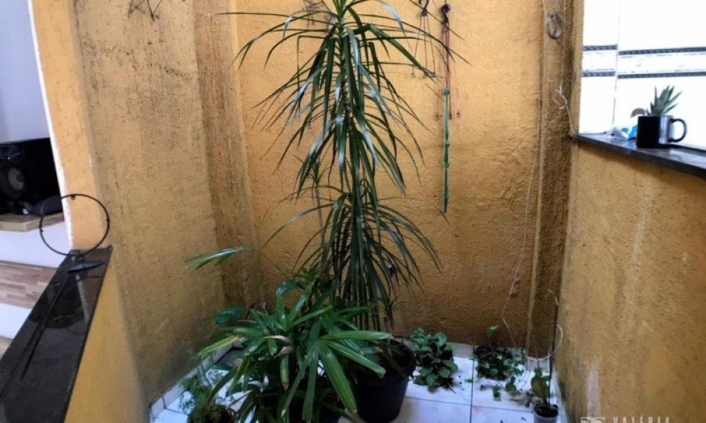 Casa 3 Pavimentos