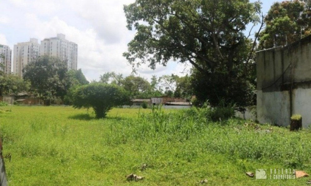 Casa Com Amplo Terreno