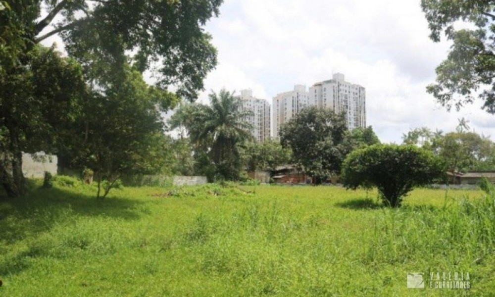 Casa Com Amplo Terreno