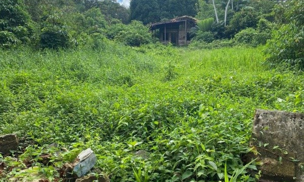 Loteamento Jardim Das Aguas Lindas