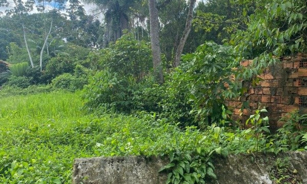 Loteamento Jardim Das Aguas Lindas