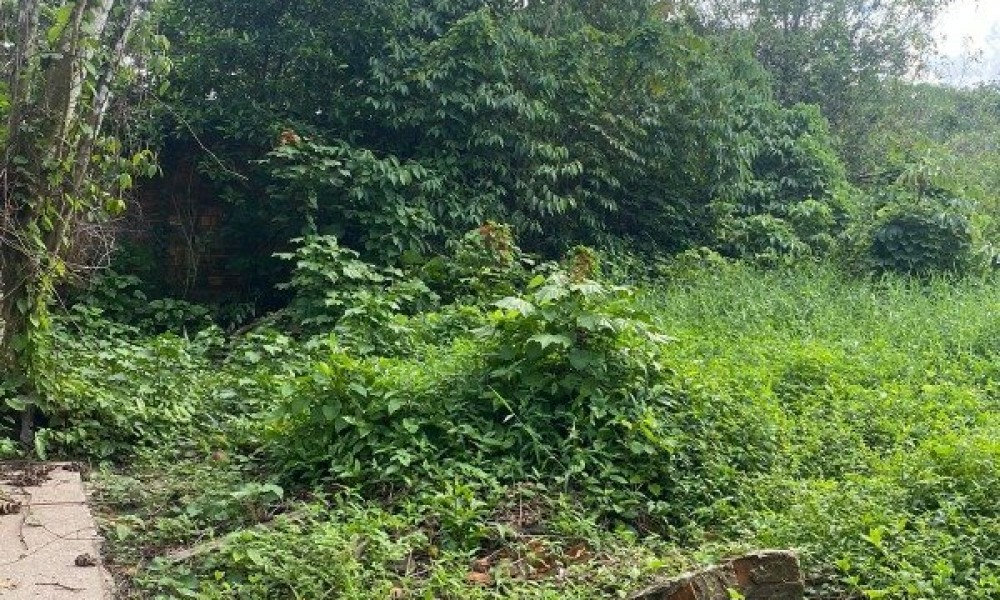 Loteamento Jardim Das Aguas Lindas