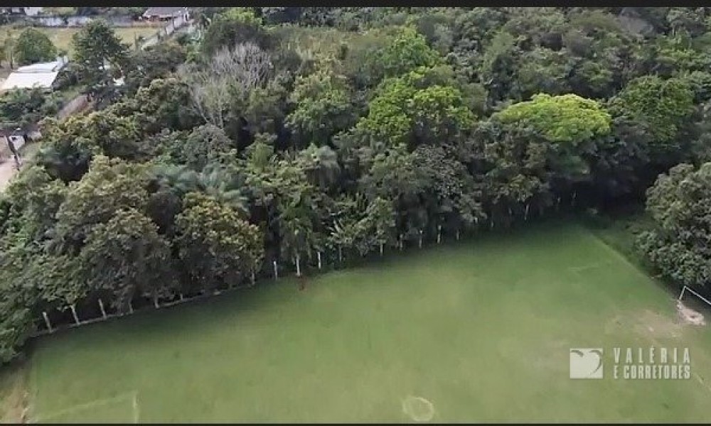 Campo Boticão 