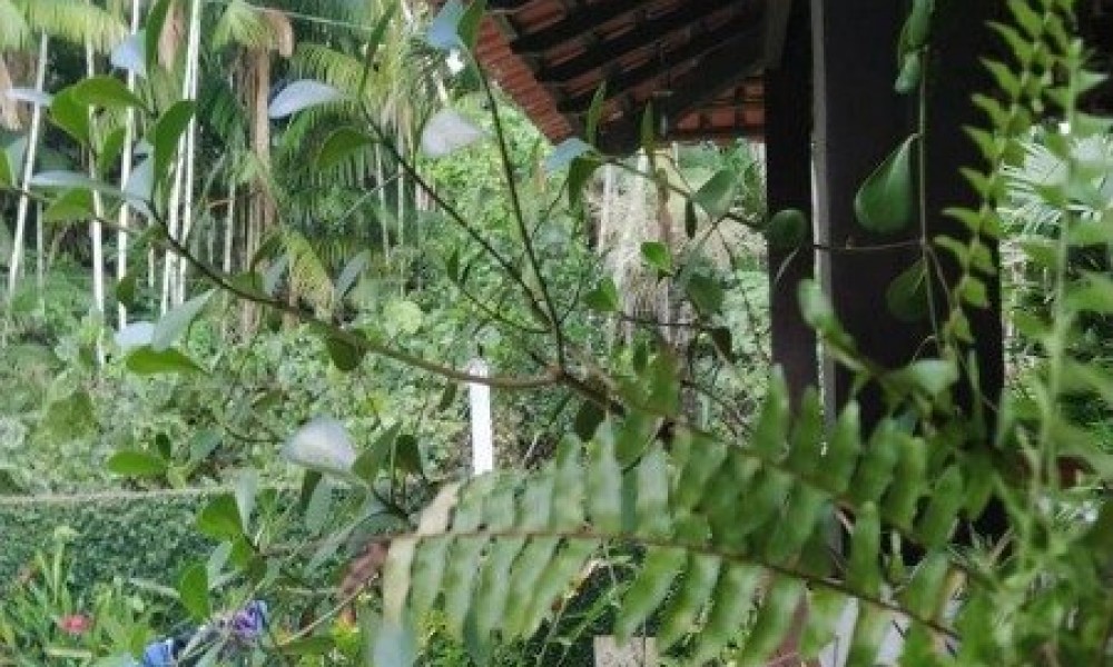 Cond. Morada Verde