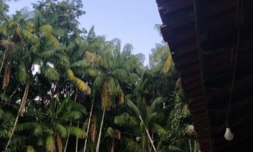 Cond. Morada Verde