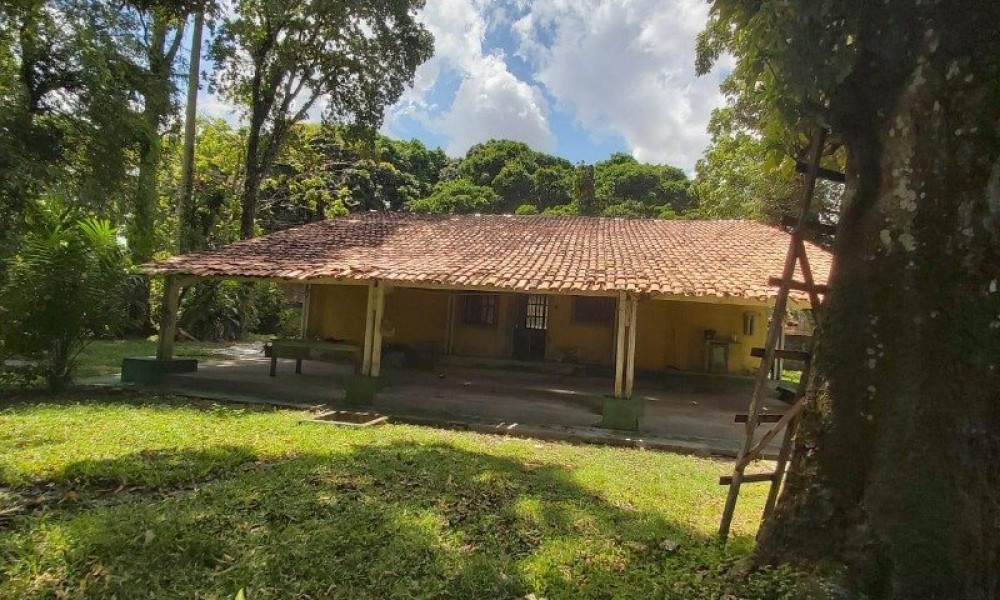 Terreno Com Edificação