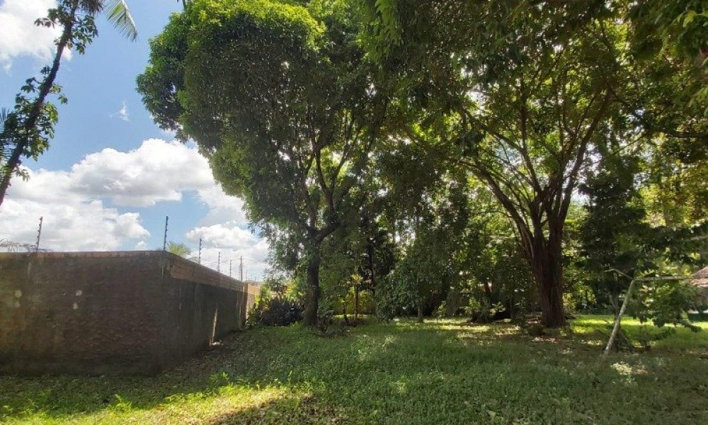 Terreno Com Edificação