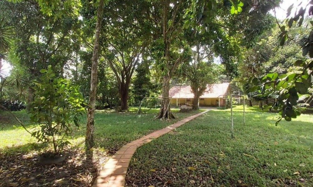Terreno Com Edificação