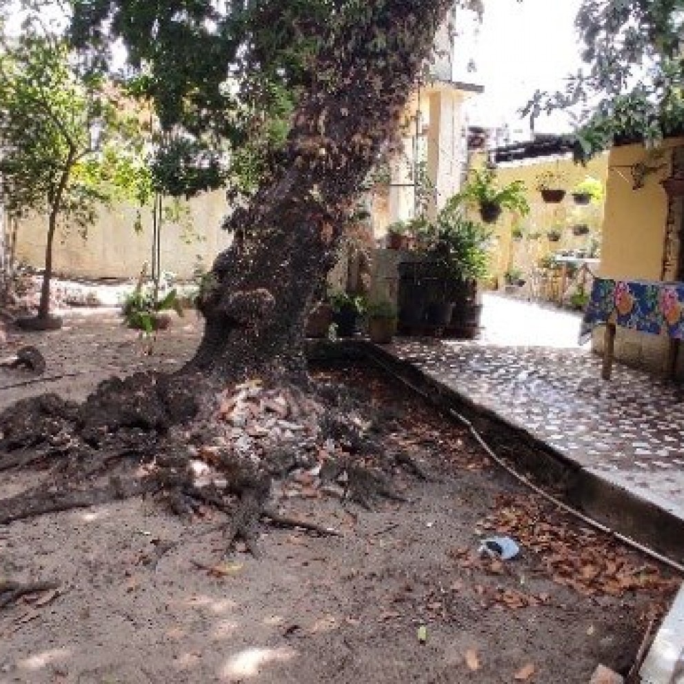 Casa Com Quintal 